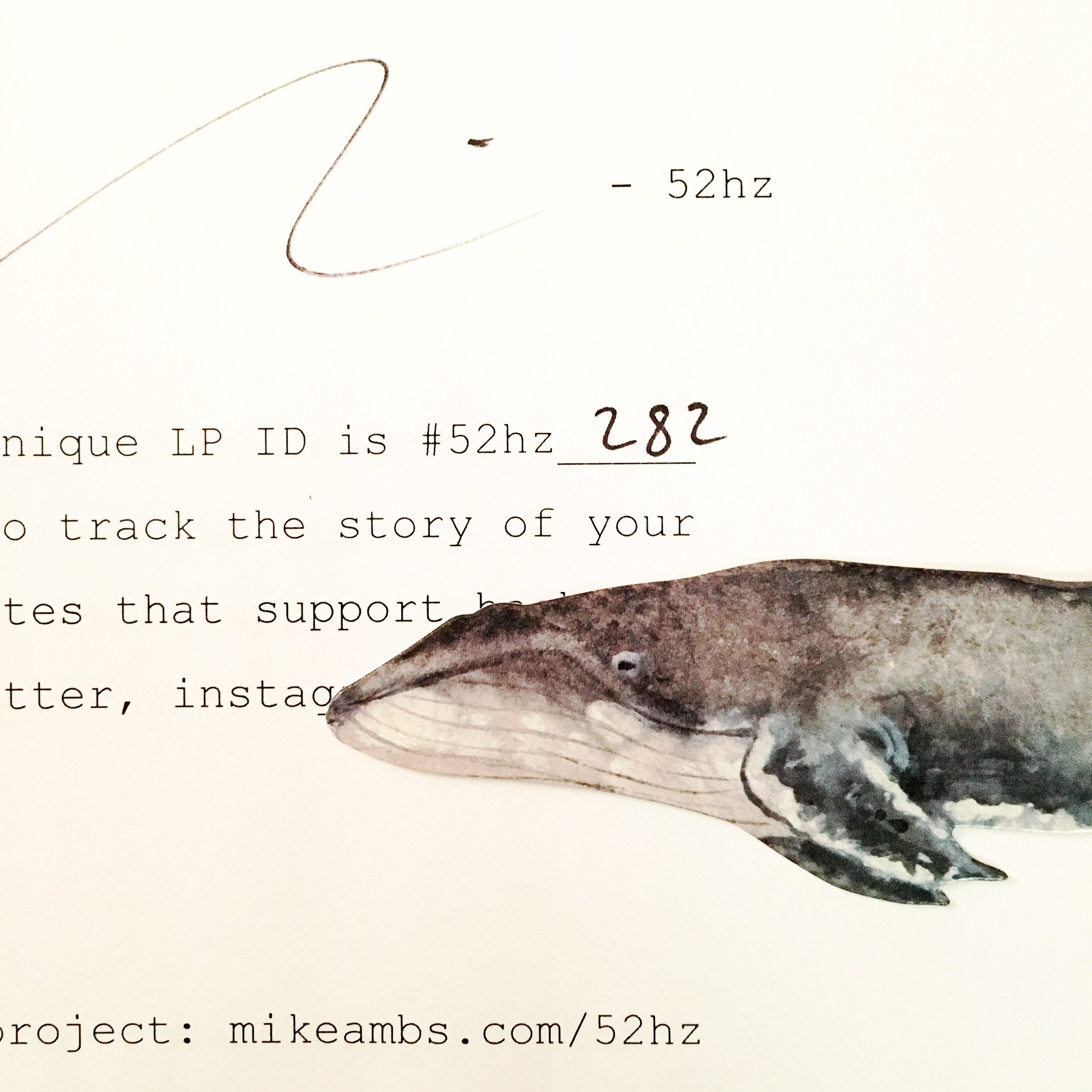 52hz (LP) — Mike Ambs